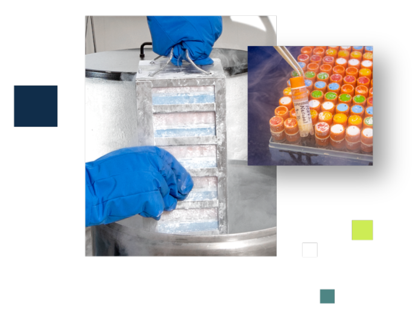 test tubes and frozen specimen